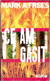 Ce am găsit